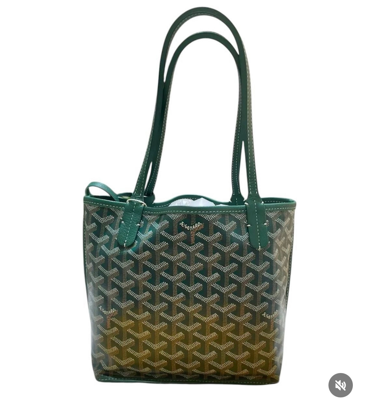 Goyard Mini Anjou in Green