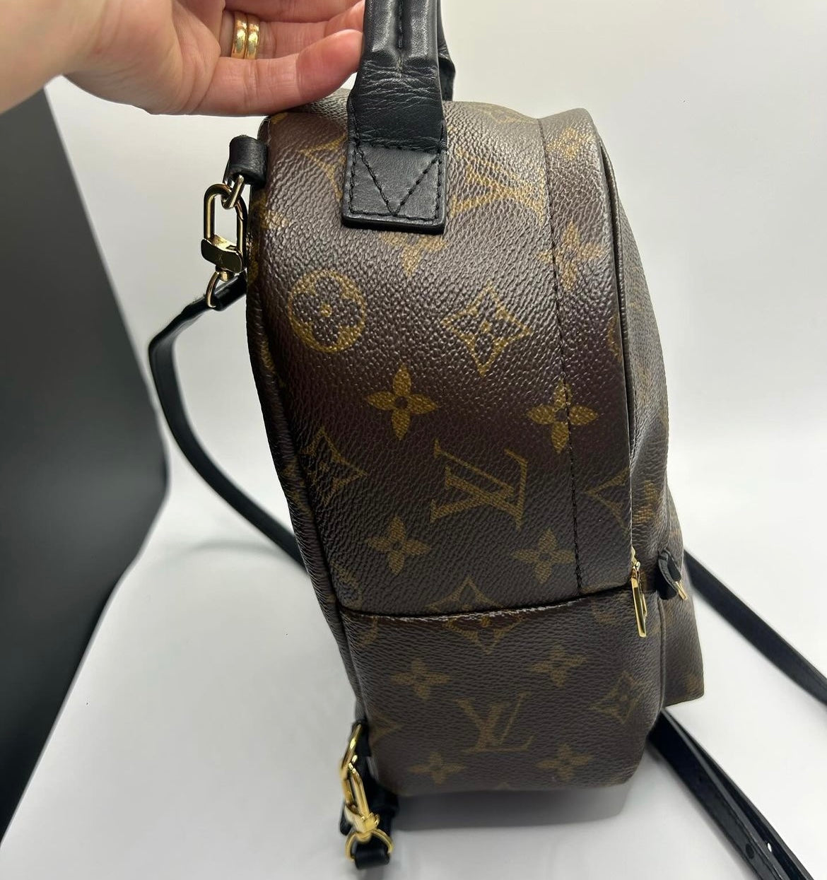 Louis Vuitton Mini Palm Springs Monogram Canvas Backpack