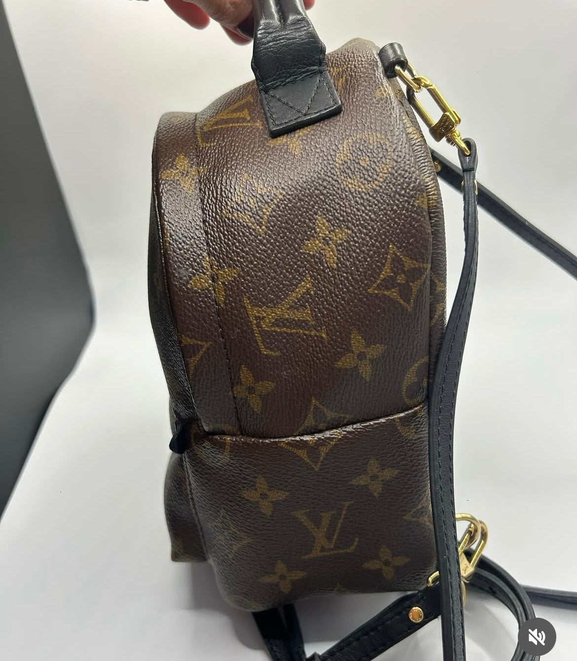 Louis Vuitton Mini Palm Springs Monogram Canvas Backpack