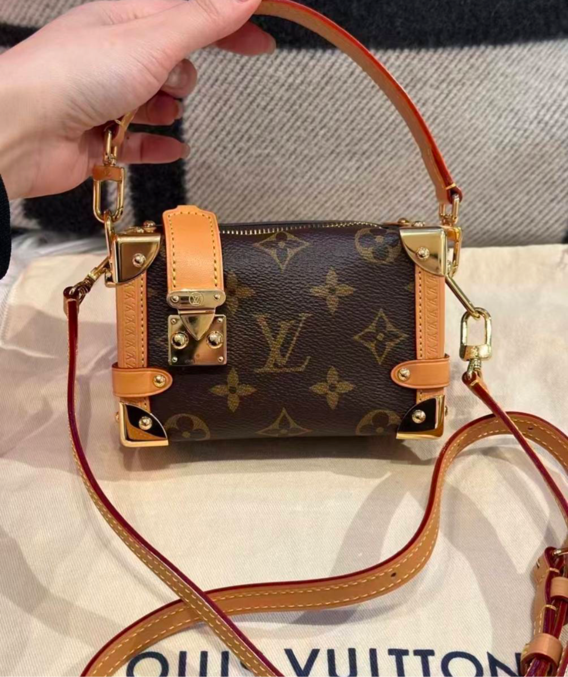 Louis Vuitton Side Trunk PMMonogram