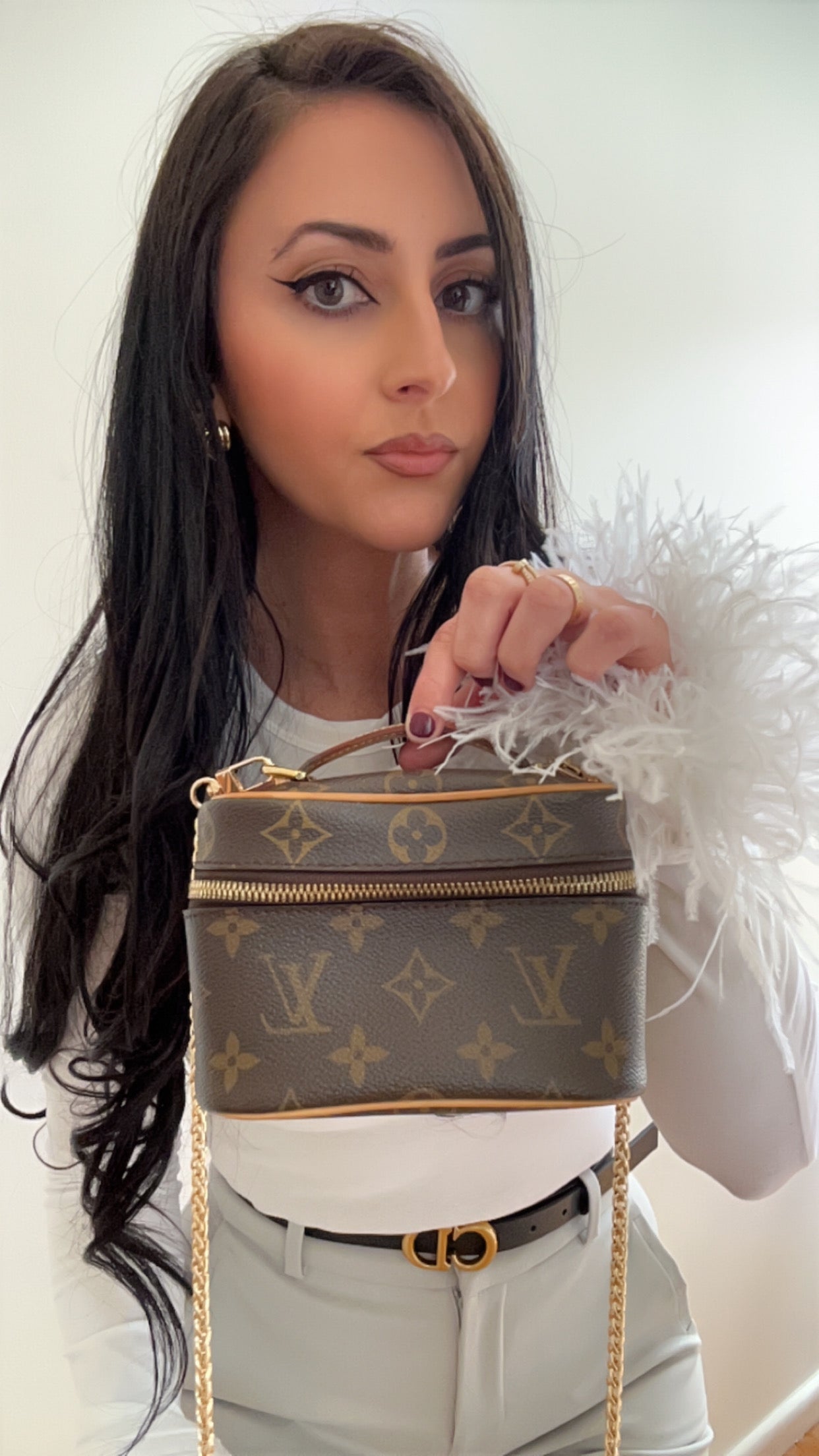 Louis Vuitton Nice Nano Monogram Vanity Bag