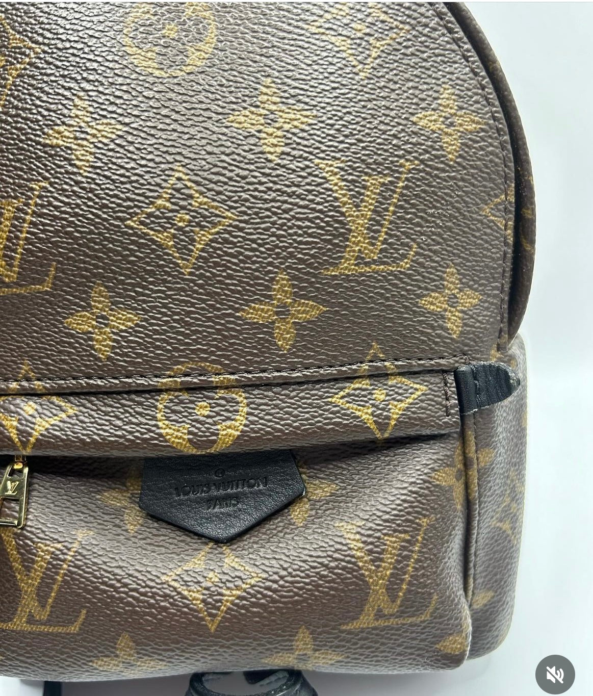 Louis Vuitton Mini Palm Springs Monogram Canvas Backpack