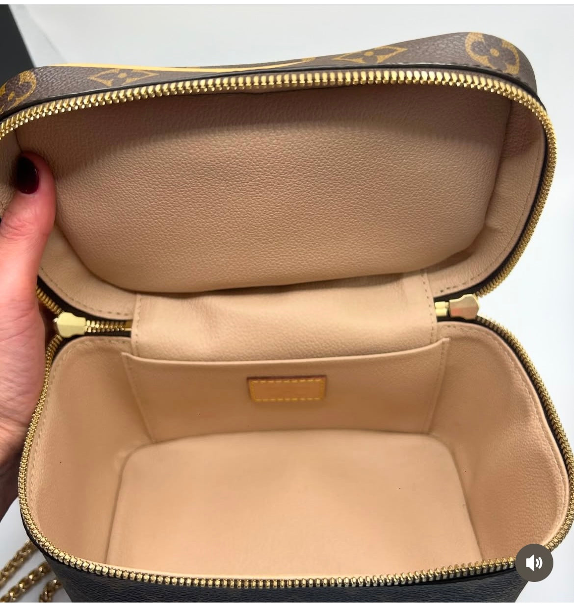 Louis Vuitton Nice Mini  Monogram Vanity Bag