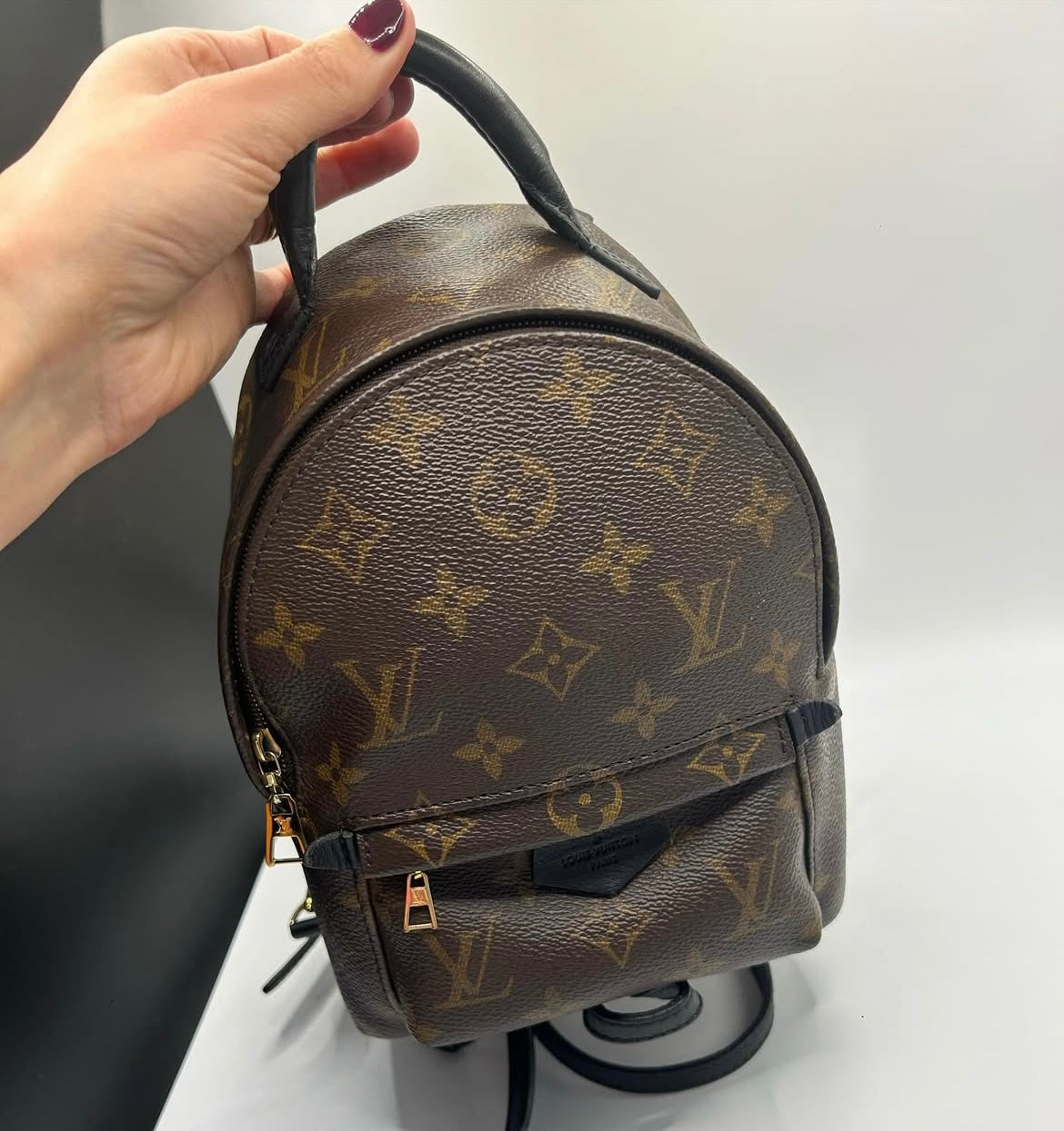 Louis Vuitton Mini Palm Springs Monogram Canvas Backpack