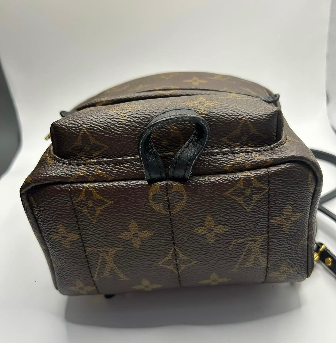 Louis Vuitton Mini Palm Springs Monogram Canvas Backpack
