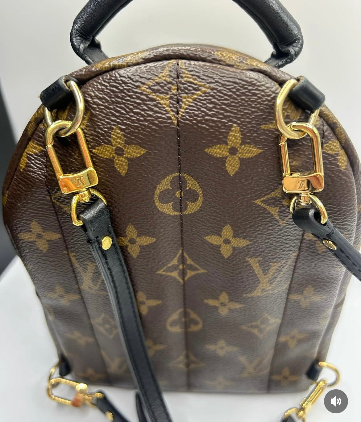 Louis Vuitton Mini Palm Springs Monogram Canvas Backpack
