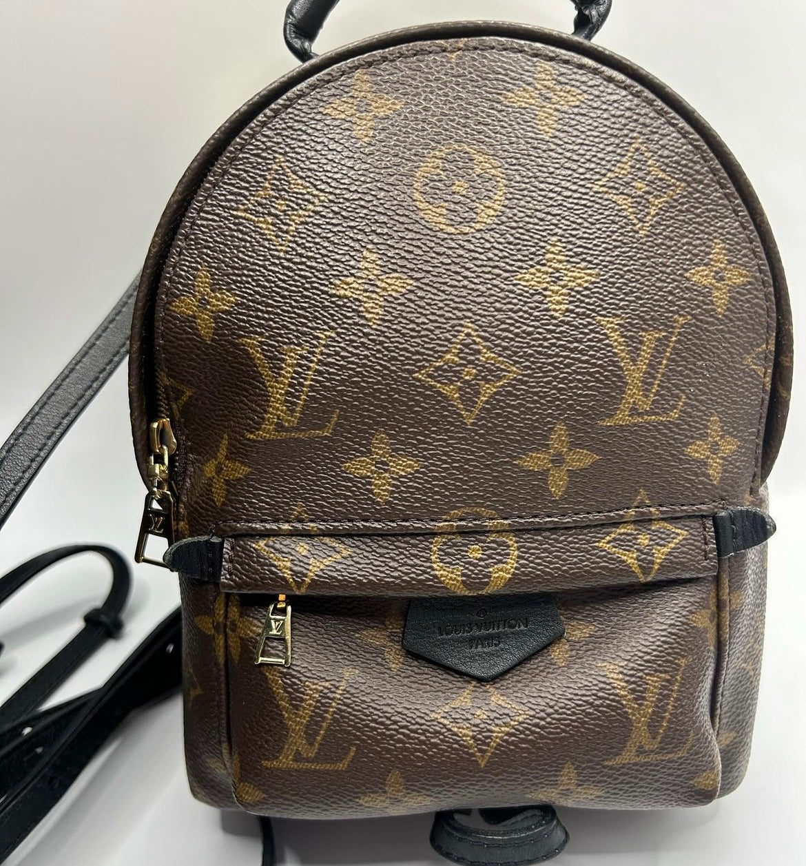 Louis Vuitton Mini Palm Springs Monogram Canvas Backpack