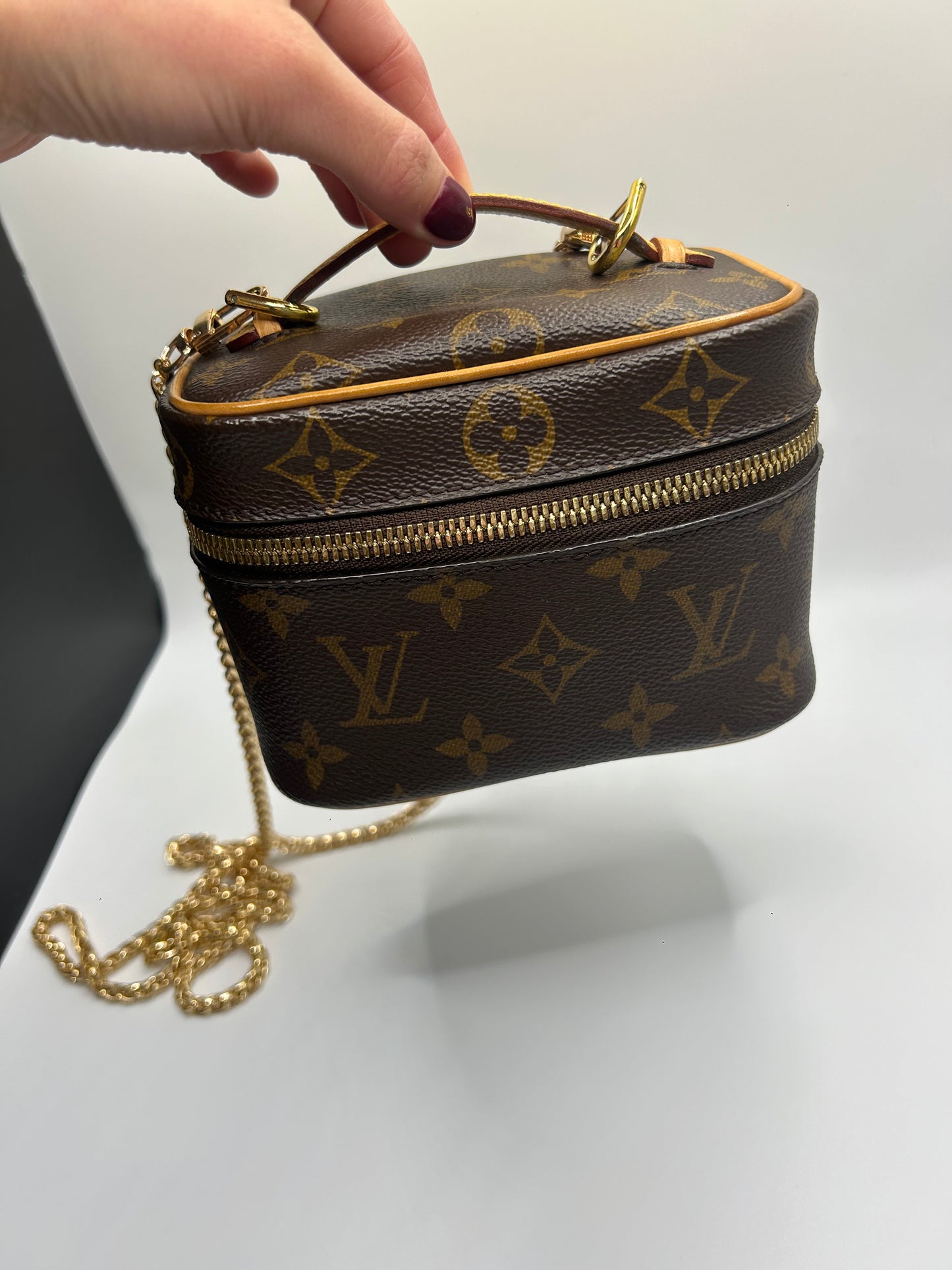 Louis Vuitton Nice Nano Monogram Vanity Bag