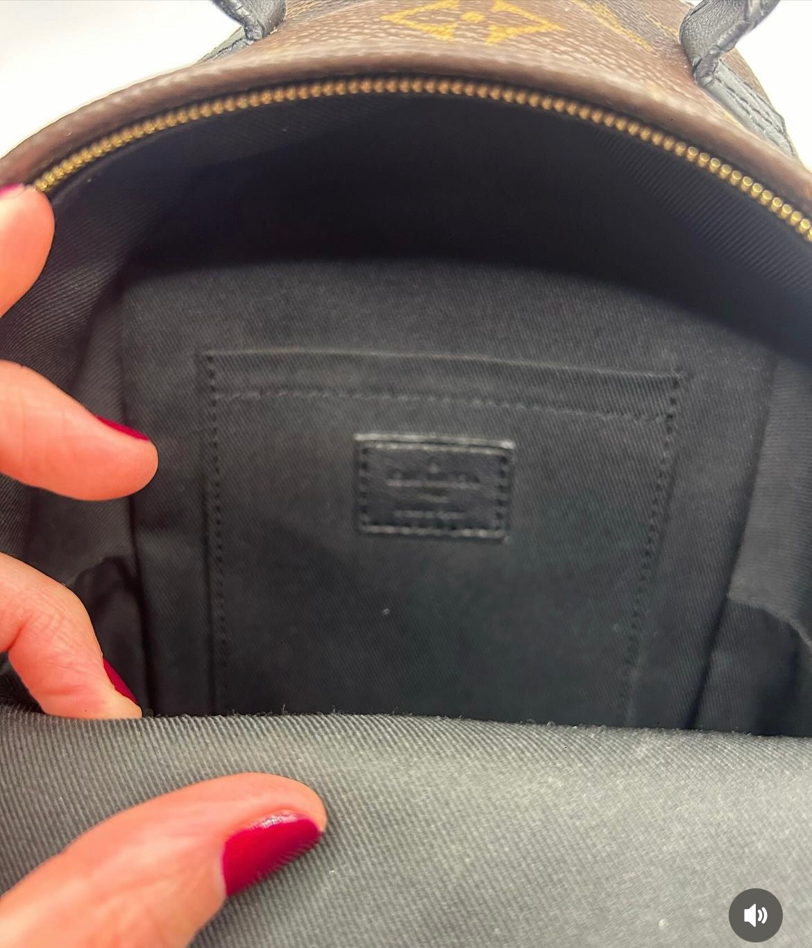 Louis Vuitton Mini Palm Springs Monogram Canvas Backpack