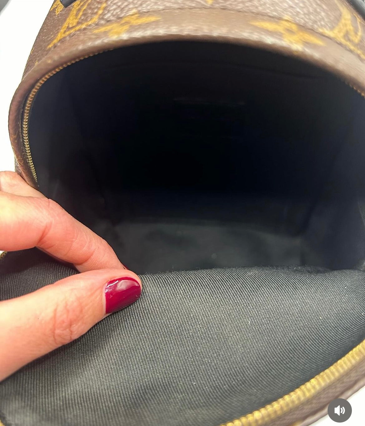 Louis Vuitton Mini Palm Springs Monogram Canvas Backpack