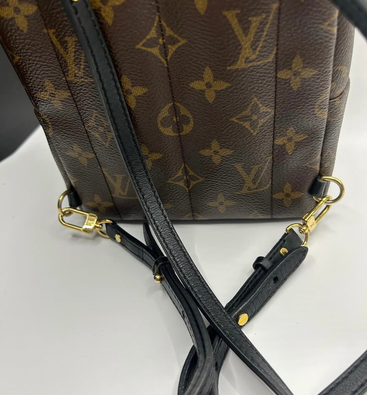 Louis Vuitton Mini Palm Springs Monogram Canvas Backpack