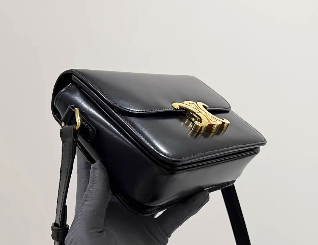 celine triomphe Teen Bag(2021)