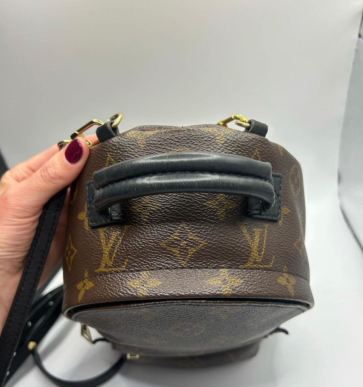 Louis Vuitton Mini Palm Springs Monogram Canvas Backpack