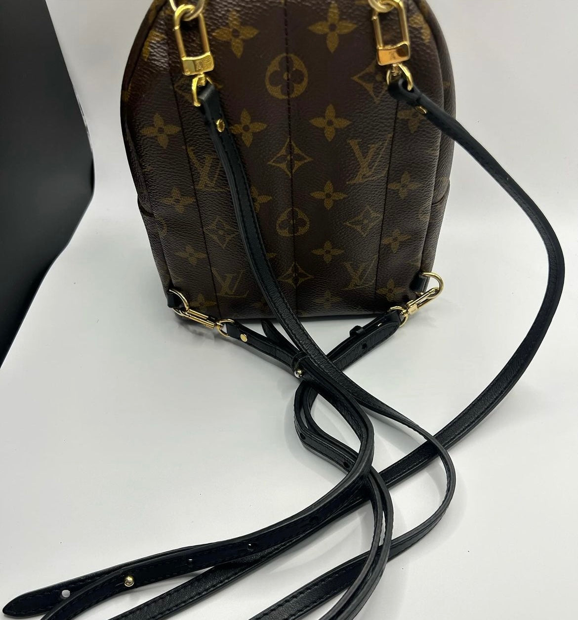 Louis Vuitton Mini Palm Springs Monogram Canvas Backpack